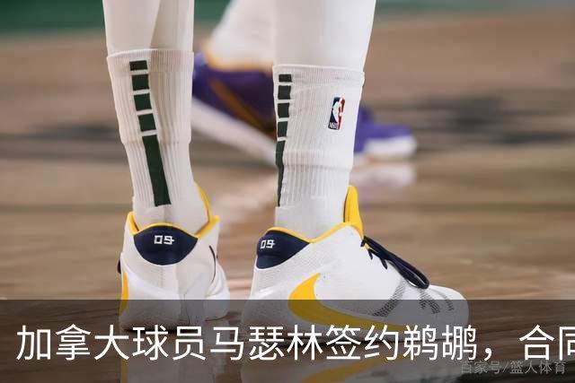加拿大球员马瑟林签约鹈鹕，合同为期两年总值1600万美元